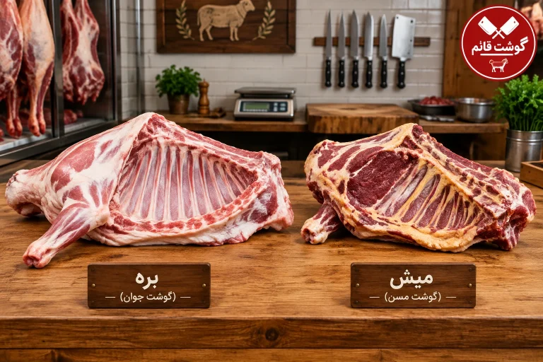 تشخیص گوشت بره و شیشک از میش و بز؛ راهنمای خرید سر قصابی | گوشت قائم