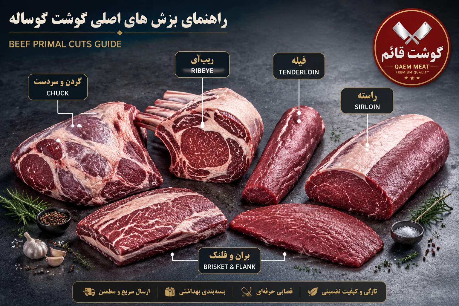 راهنمای جامع گوشت گوساله؛ معرفی قطعات، ارزش غذایی و کاربردها | گوشت قائم